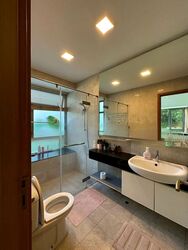 The Infiniti (D5), Condominium #477511391
